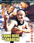 The Young Of poster